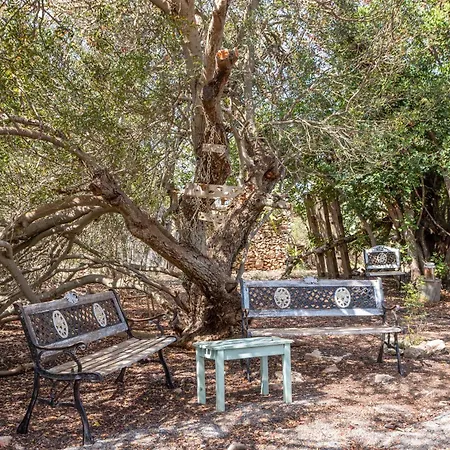 Xicu Apartment BALEARIC ISLANDS